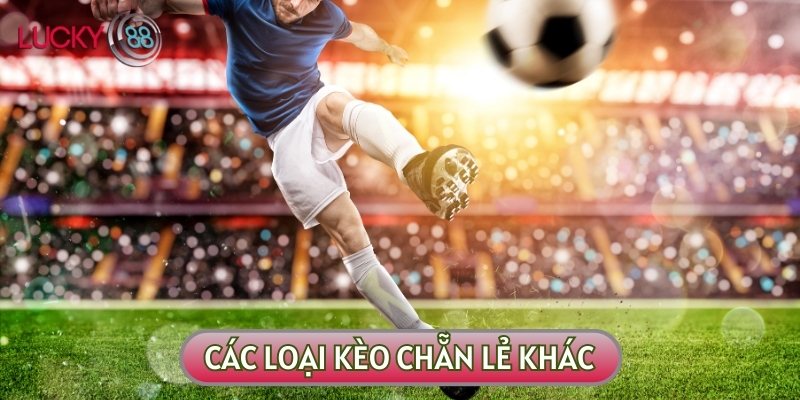 Hiểu được kèo chẵn lẻ là gì thì việc hiểu các loại kèo khác sẽ không quá khó khăn với bạn