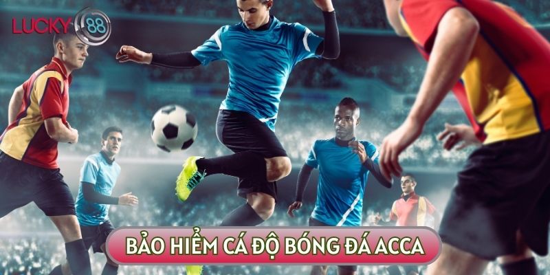 Bảo hiểm cá độ ACCA có lẽ đã quá phổ biến với nhiều người