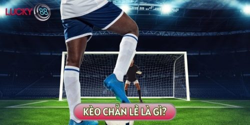 Kèo Chẵn Lẻ Là Gì? Kinh Nghiệm Cá Cược Đến Từ Các Cao Nhân